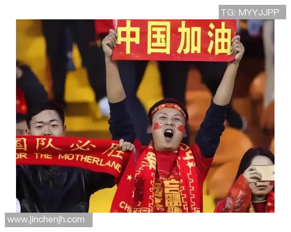 中国足球明星为何难以赢得球迷喜爱深度解析与反思