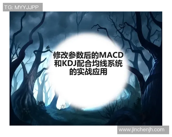 深入分析上海排球队防反战术的独特魅力与实战应用